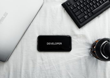 Developer