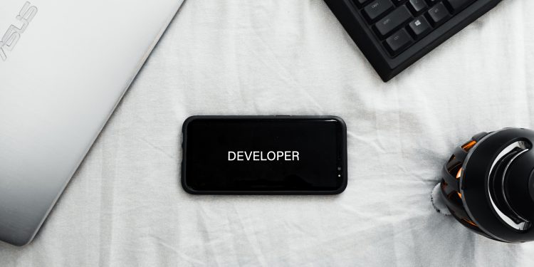 Developer