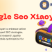 Google Seo Xiaoyan