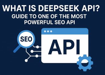 what is deepSeek API. most professional seo API