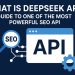 what is deepSeek API. most professional seo API